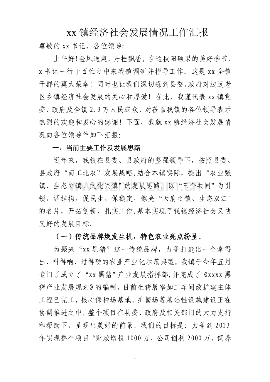 乡镇社会经济工作汇报.doc_第1页