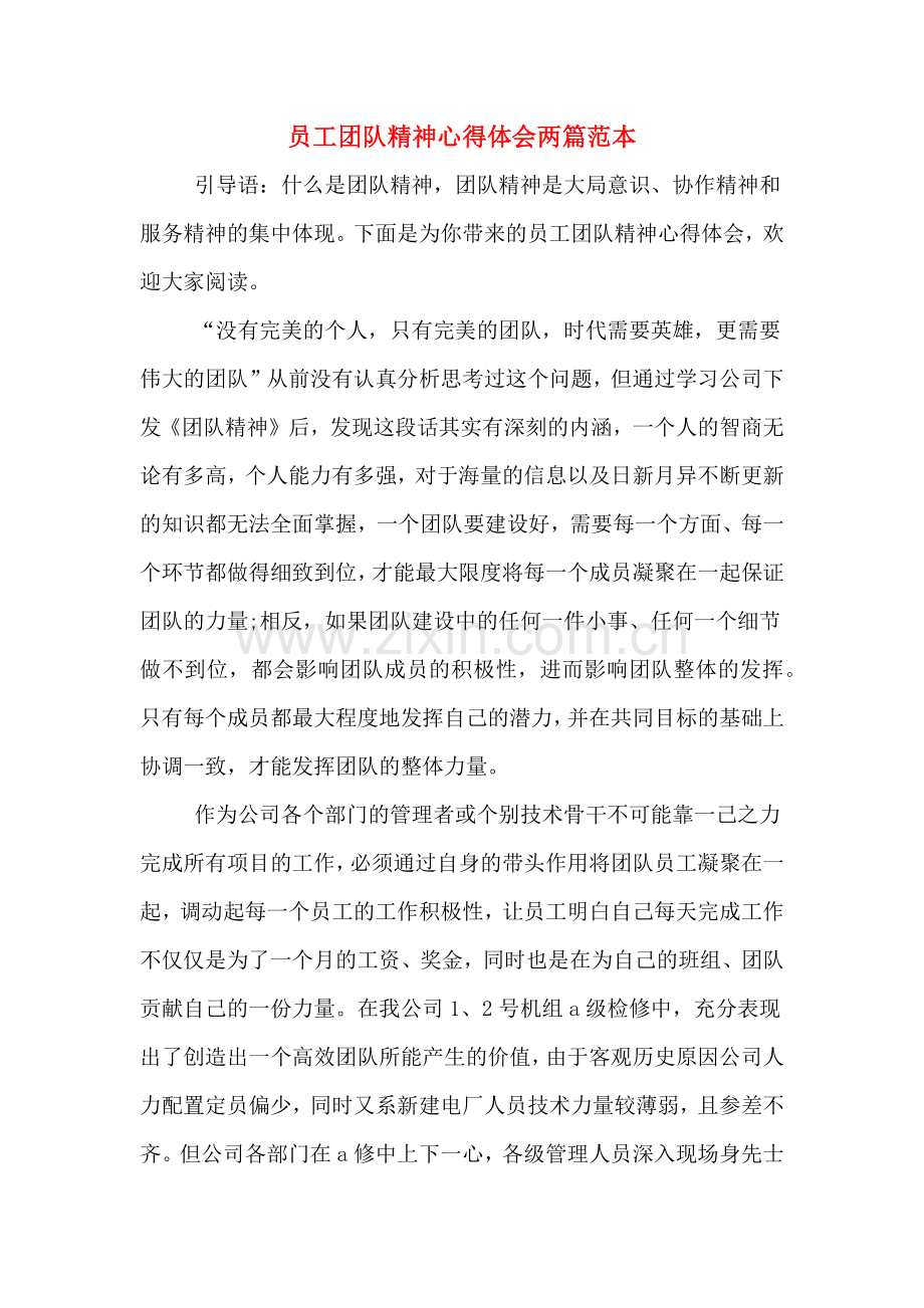 员工团队精神心得体会两篇范本.doc_第1页