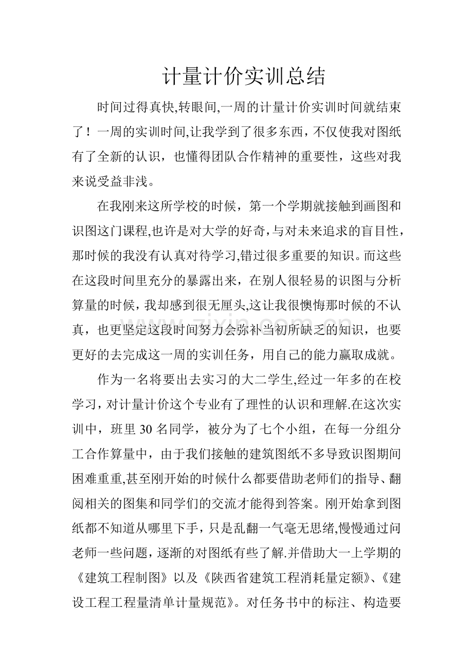 计量计价实训总结-工程计量计价实训总结.doc_第1页