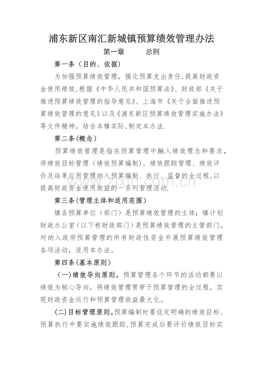 浦东新区南汇新城镇预算绩效管理办法.doc_第1页