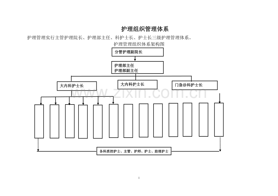 护理管理组织体系架构图.doc_第1页