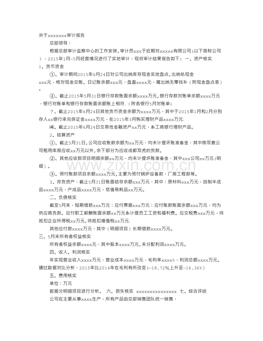 绩效审计报告模板.doc_第1页