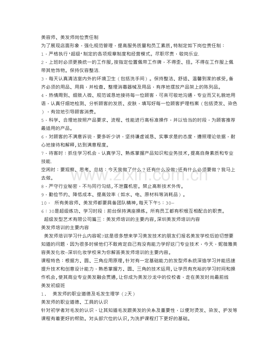 美发师工作总结.doc_第2页