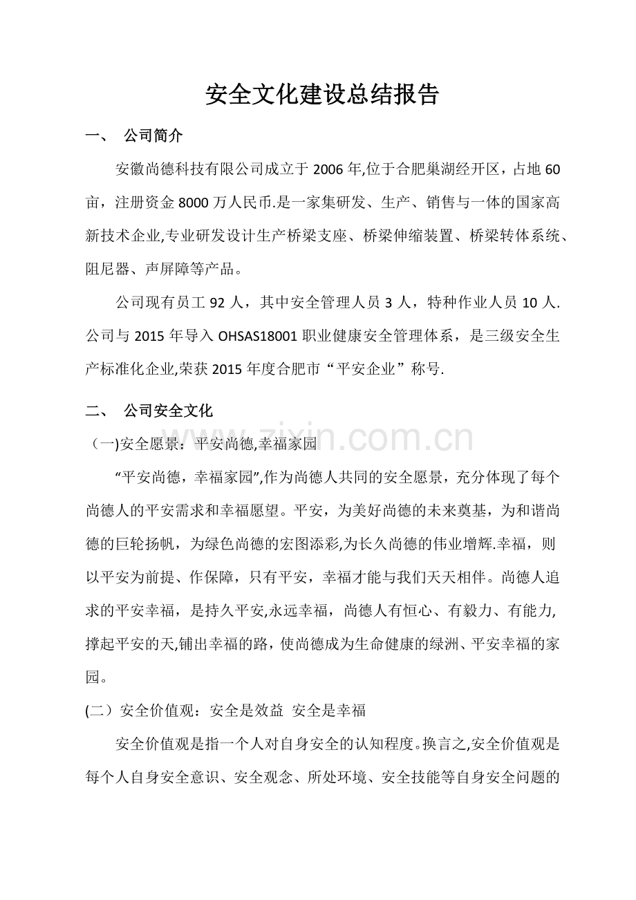 安全文化建设总结.docx_第1页