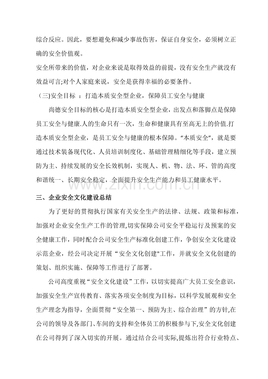 安全文化建设总结.docx_第2页