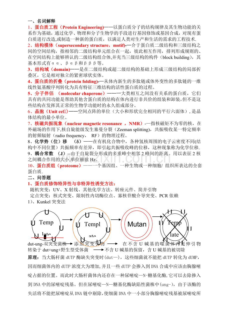 蛋白质工程重点.doc_第1页