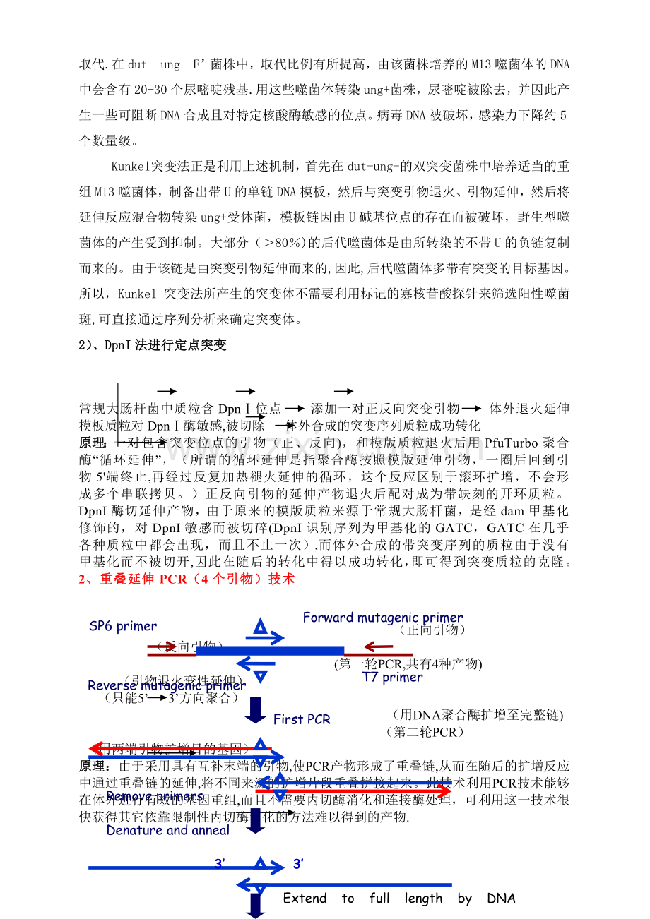 蛋白质工程重点.doc_第2页