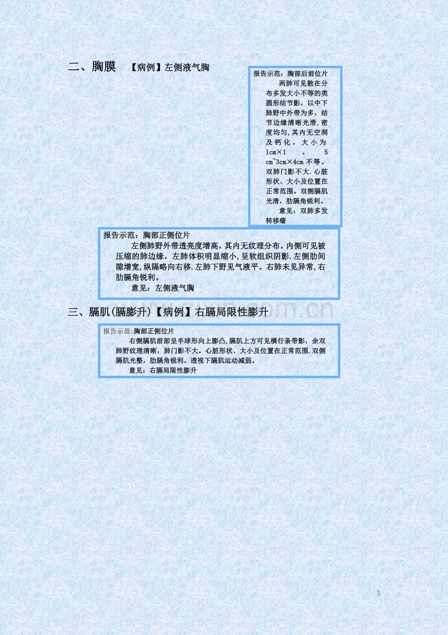 肺部诊断报告.doc_第3页