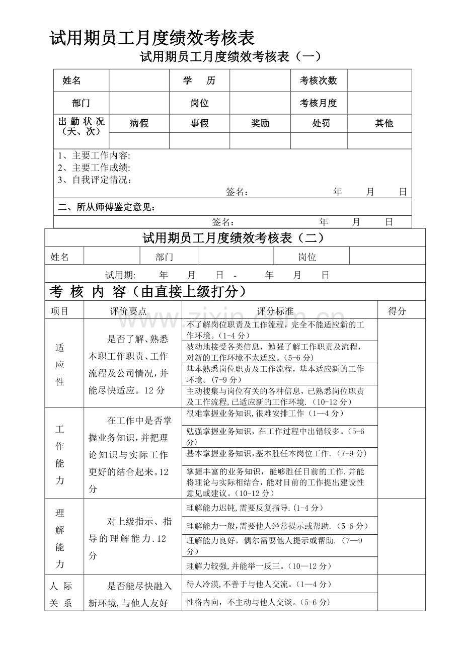 新员工试用期考核表(月度).doc_第1页