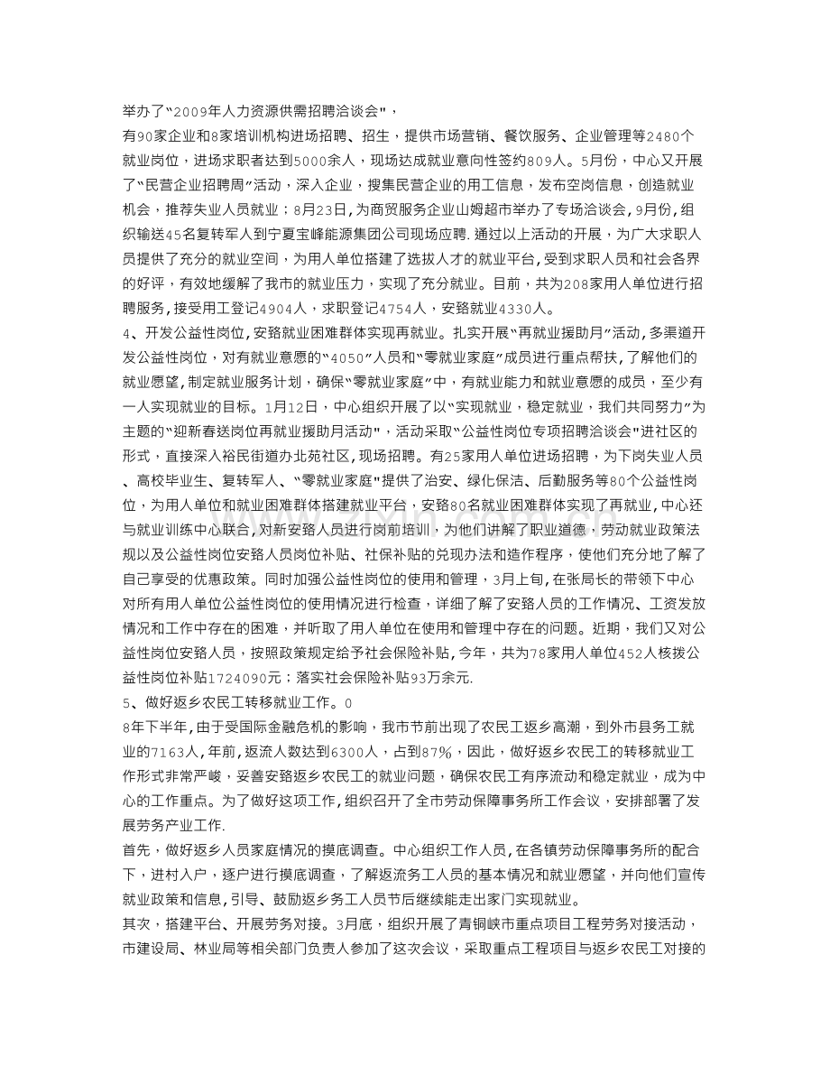 人力资源服务中心工作总结.doc_第2页