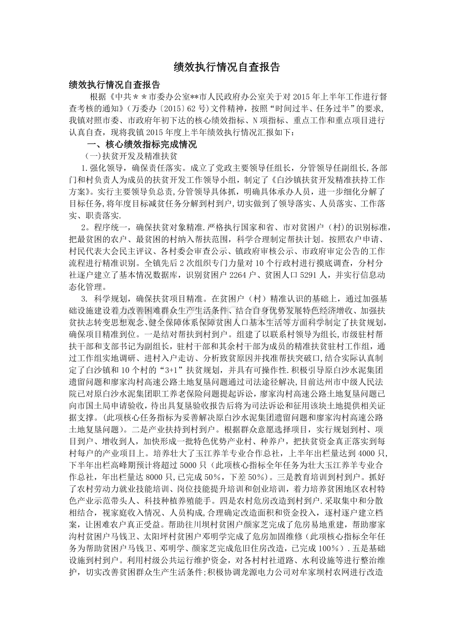 绩效执行情况自查报告.doc_第1页