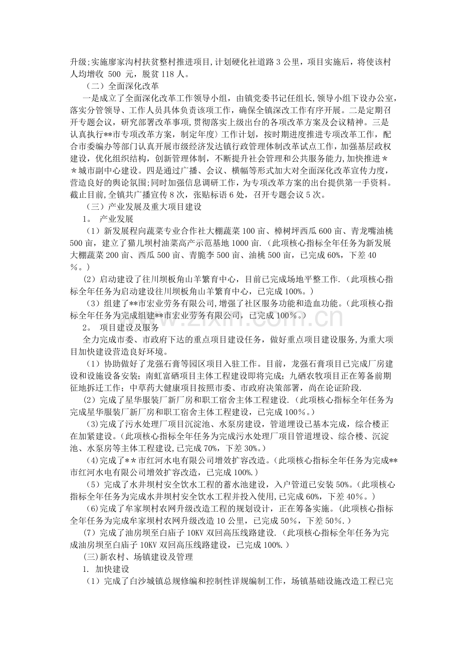 绩效执行情况自查报告.doc_第2页