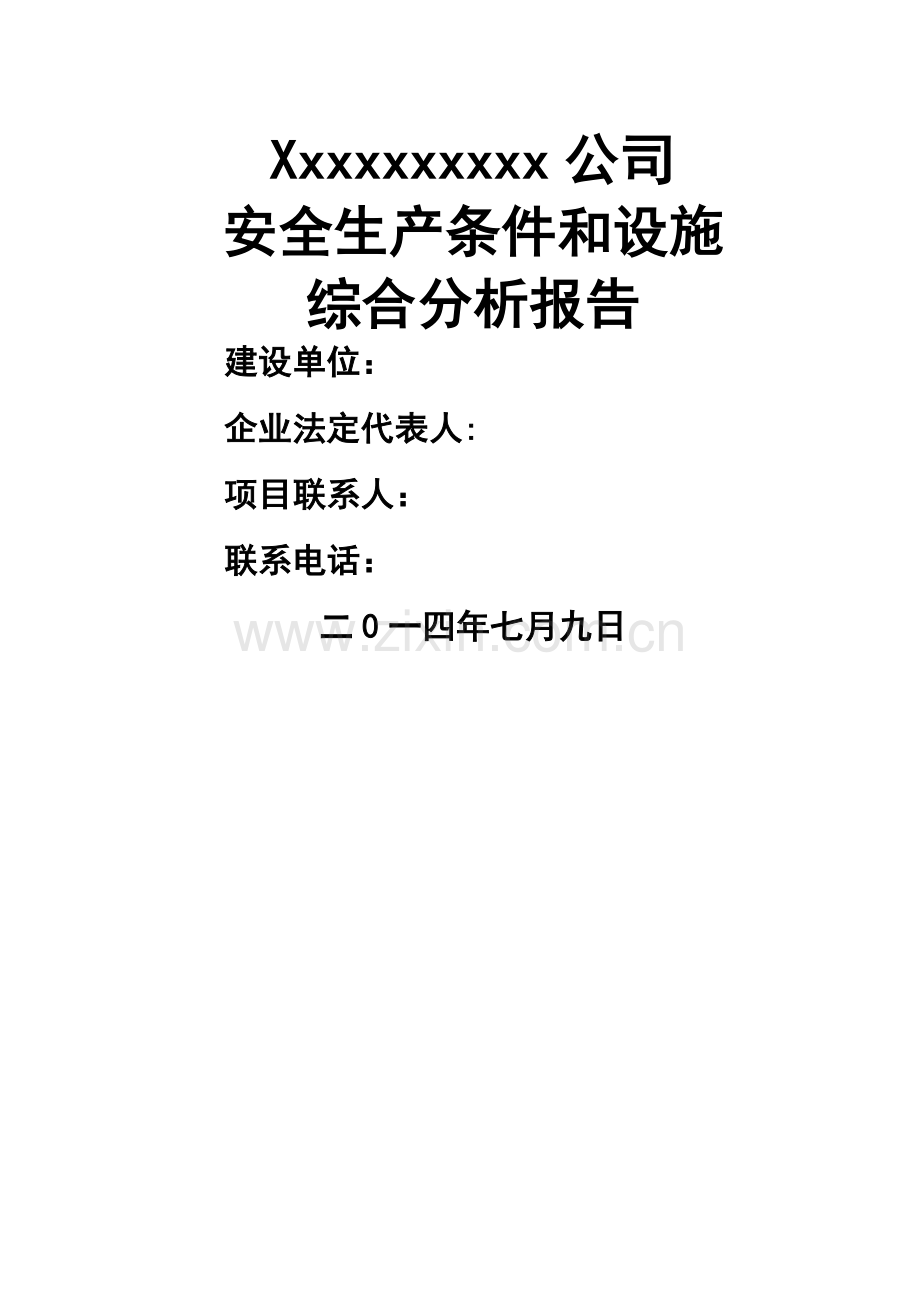 扩建项目安全条件和设施综合分析报告.doc_第1页