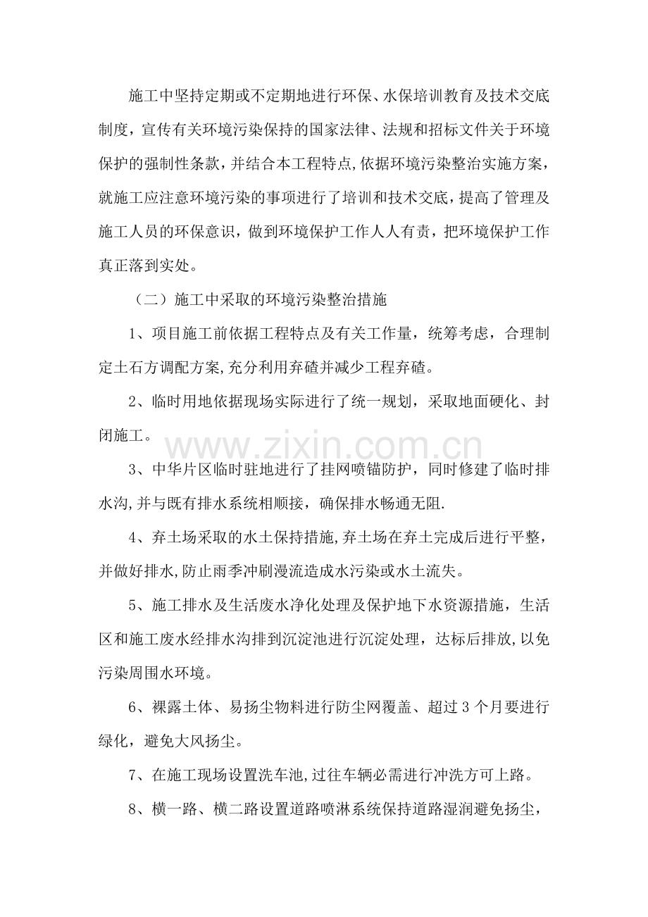 环境污染专项治理工作总结.doc_第3页