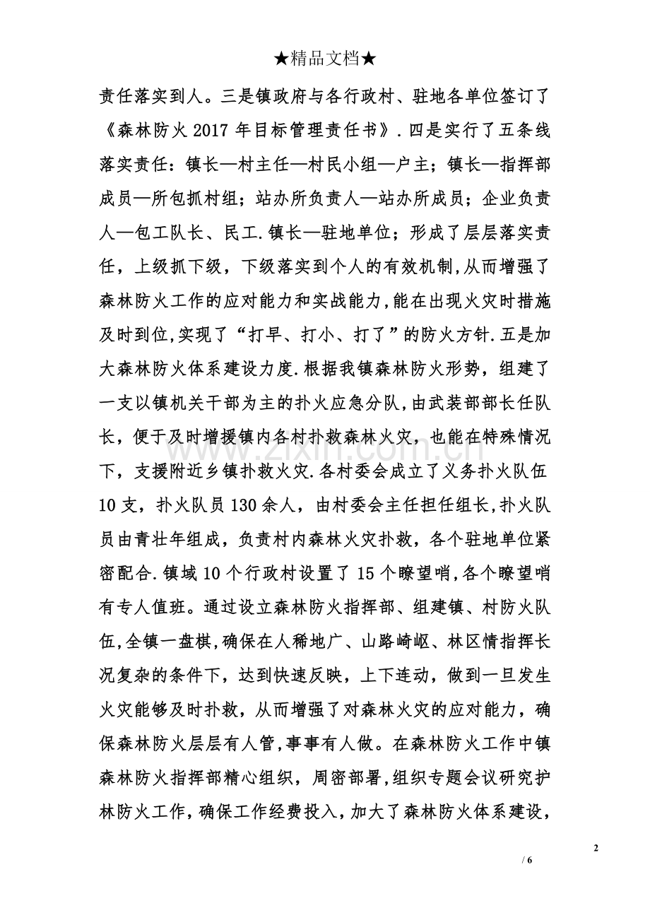 乡镇度森林防火工作总结.doc_第2页