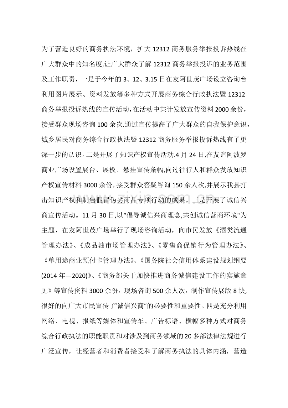 乡镇商务综合行政执法大队年度工作总结.docx_第2页