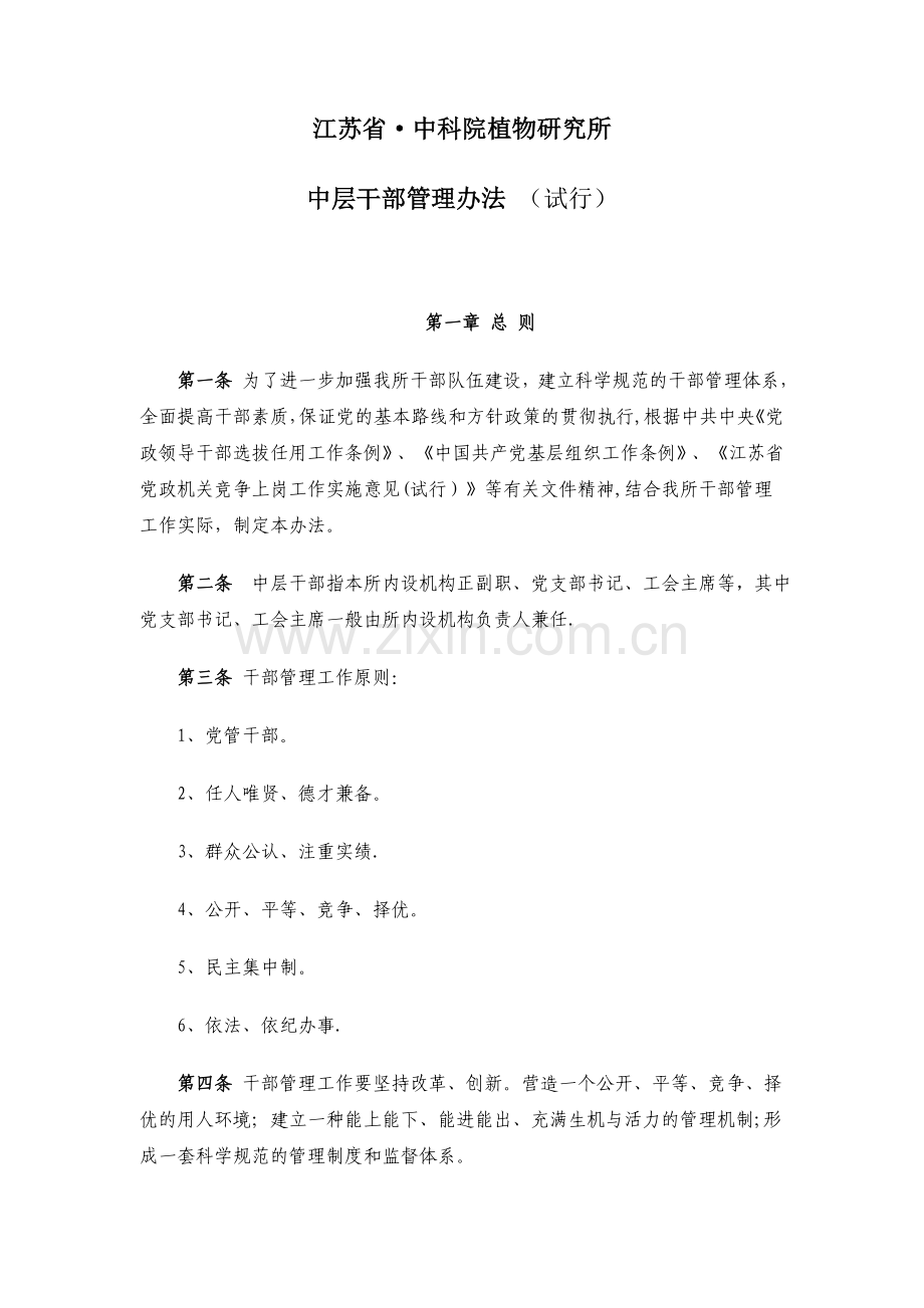 中层干部管理办法-(试行).doc_第1页