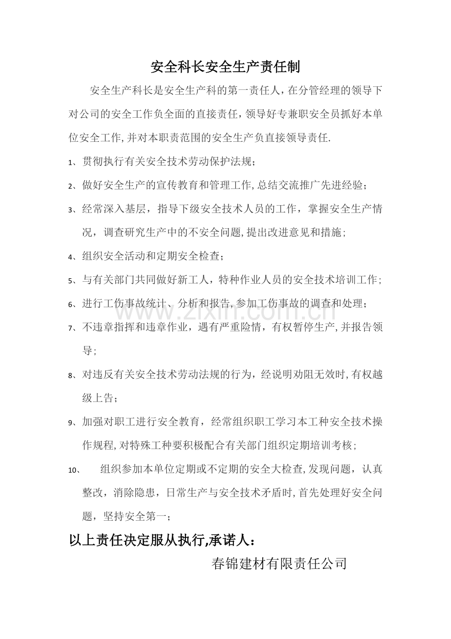 安全科长安全生产责任制.docx_第1页