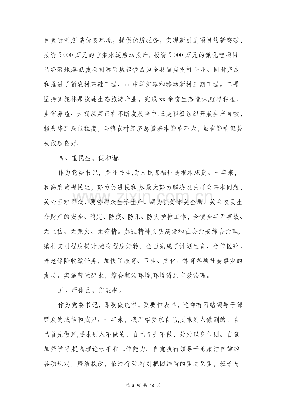 乡镇党委书记个人述职述廉报告(多篇范文).doc_第3页