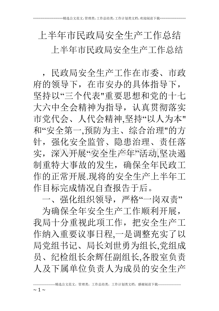 上半年市民政局安全生产工作总结.doc_第1页