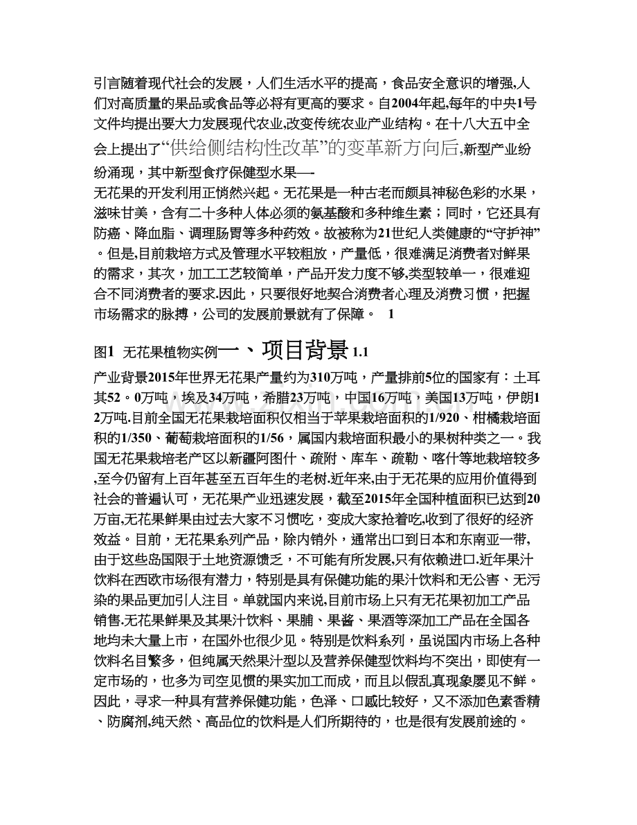 无花果项目商业计划书.doc_第1页