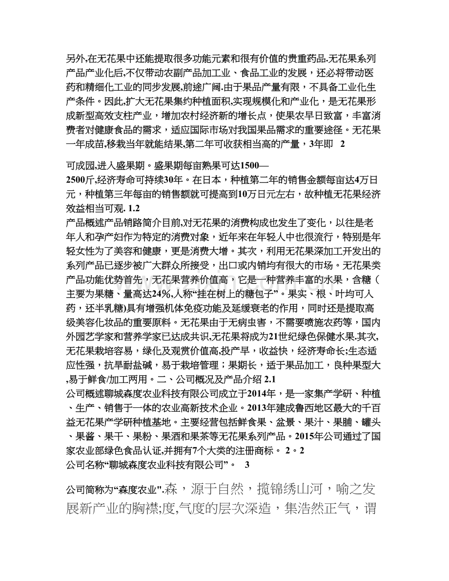 无花果项目商业计划书.doc_第2页