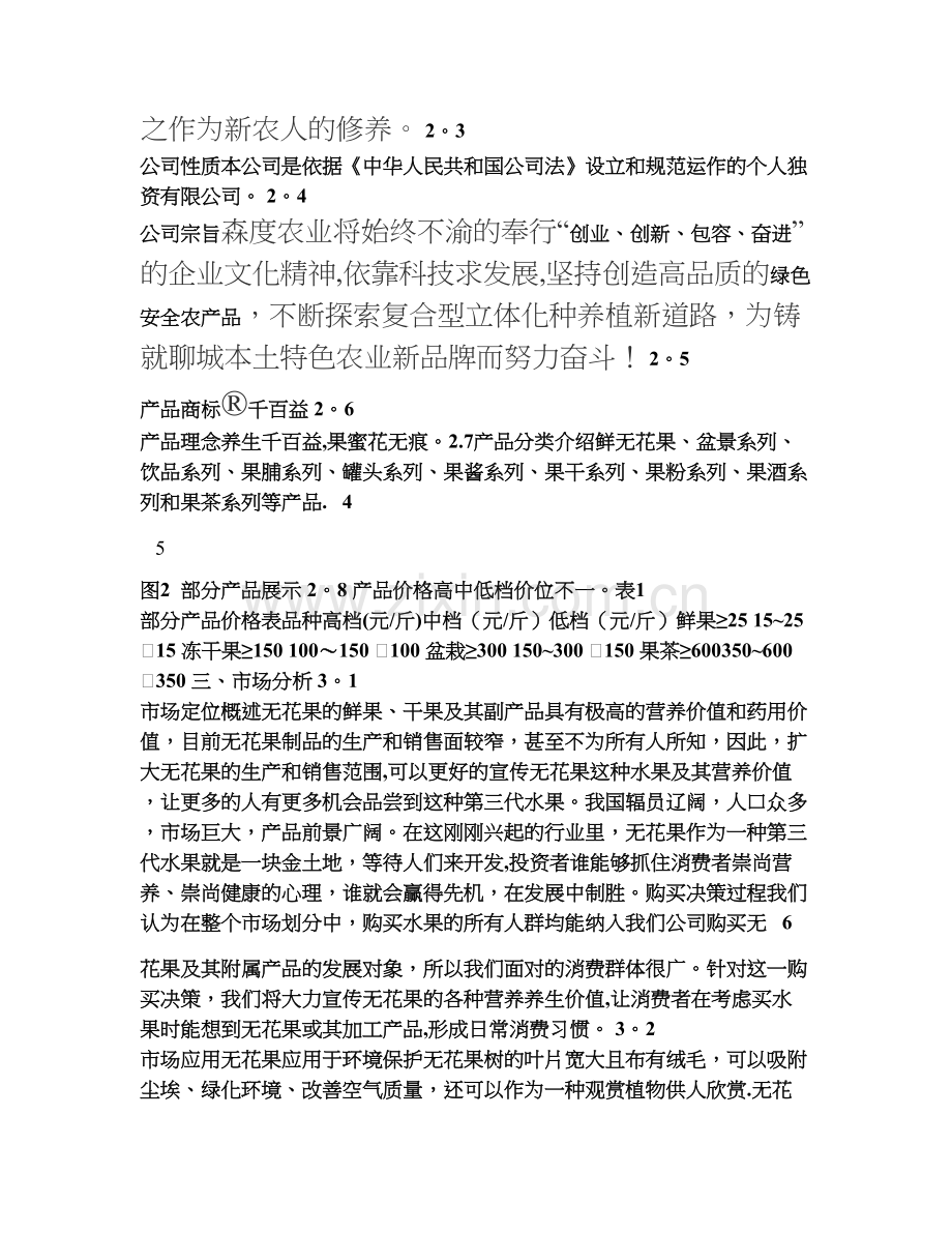 无花果项目商业计划书.doc_第3页