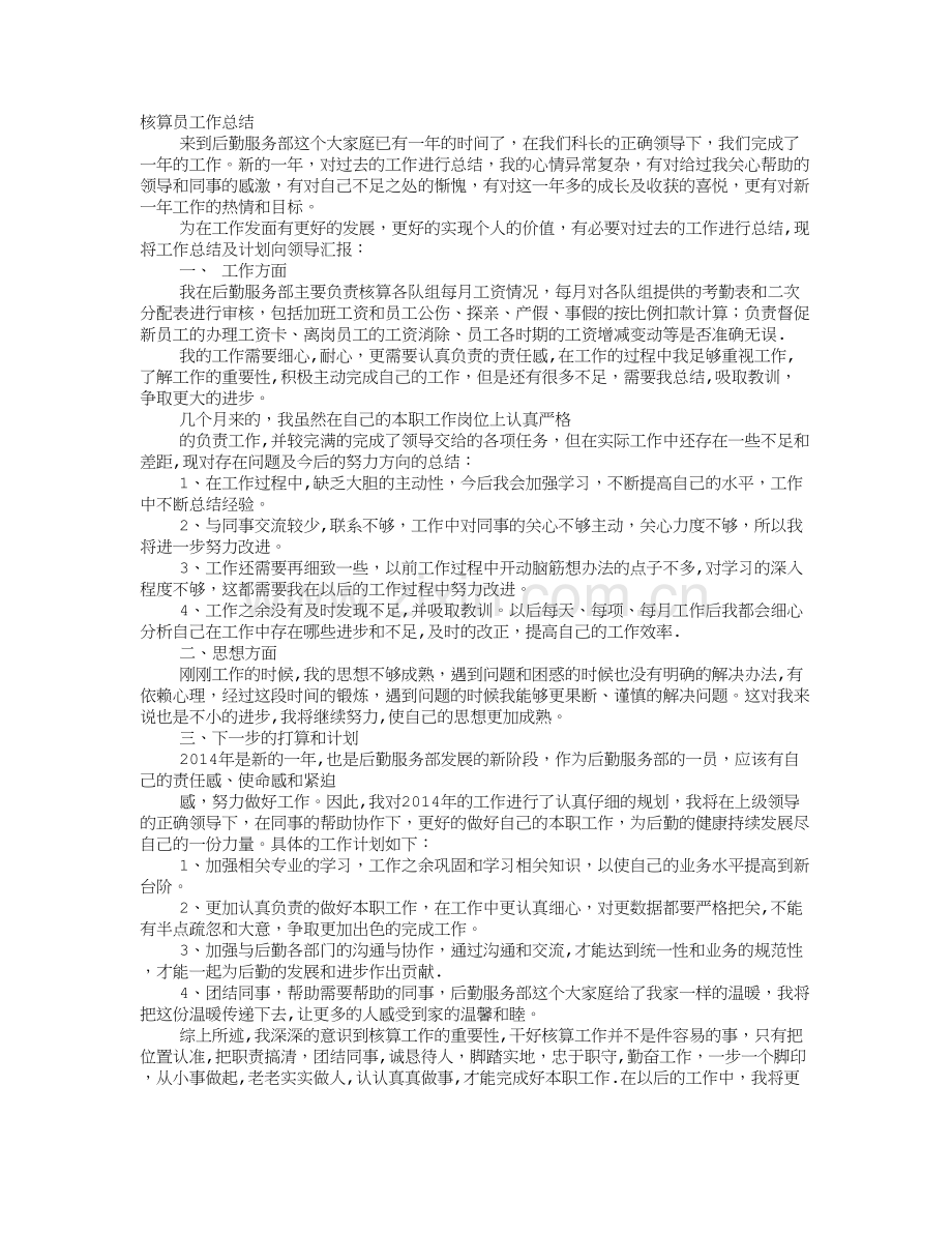 核算员个人工作总结.doc_第1页