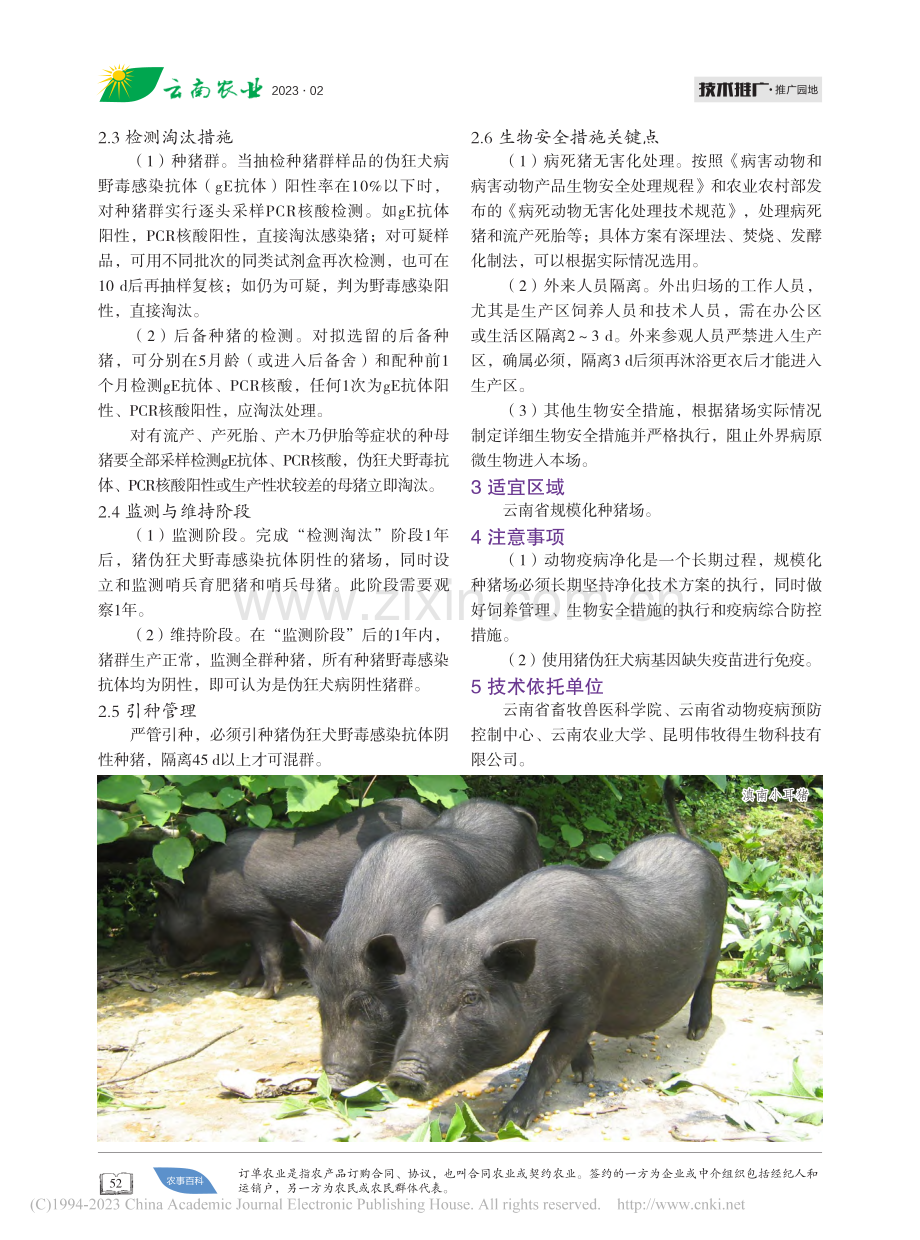 种猪场猪伪狂犬病净化技术.pdf_第2页