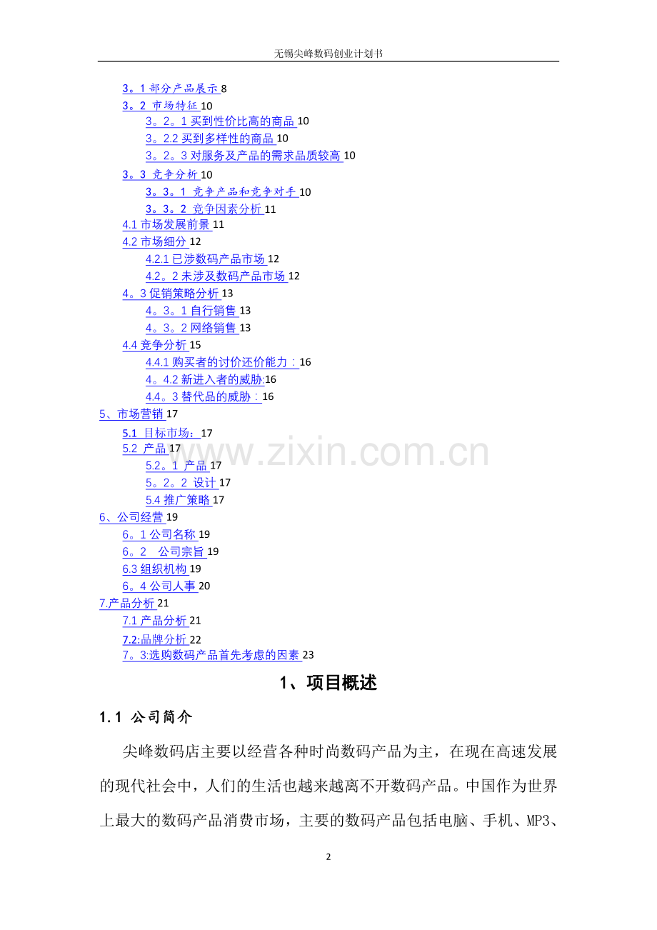 江苏省尖峰数码有限责任公司计划书.doc_第2页