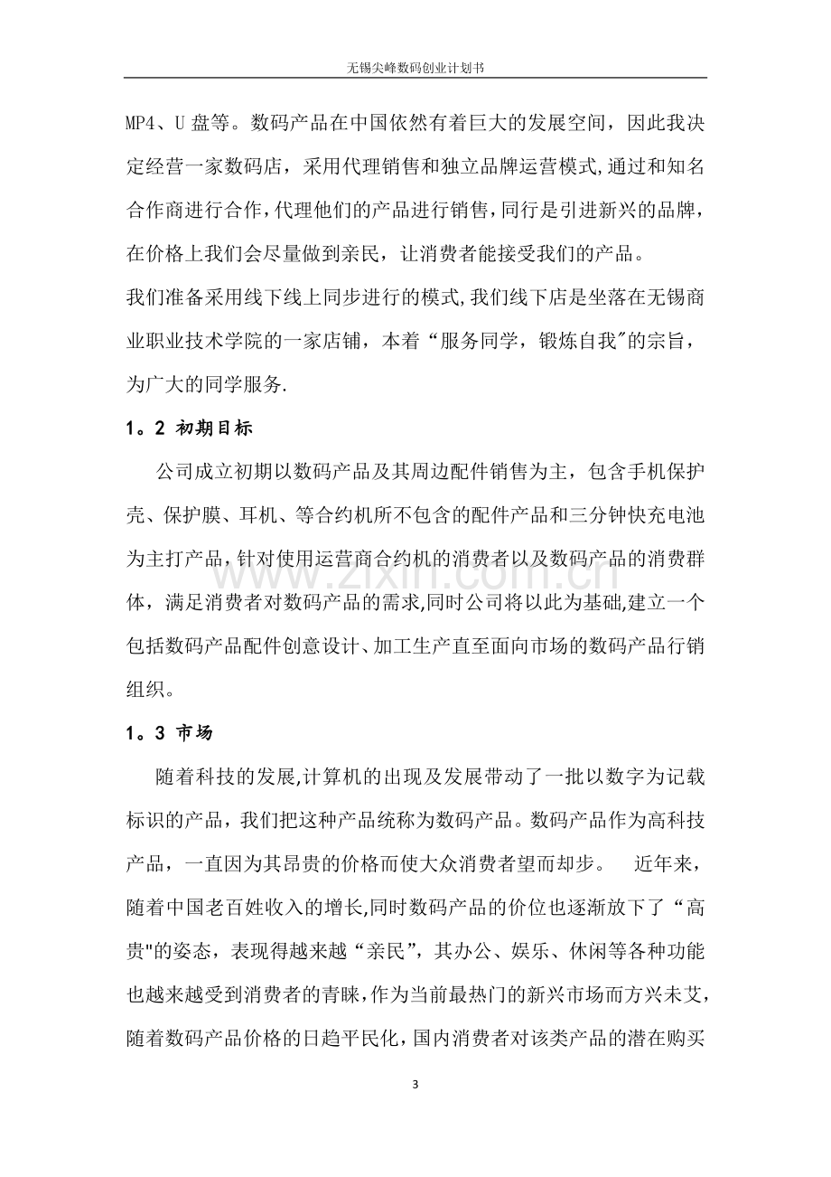 江苏省尖峰数码有限责任公司计划书.doc_第3页