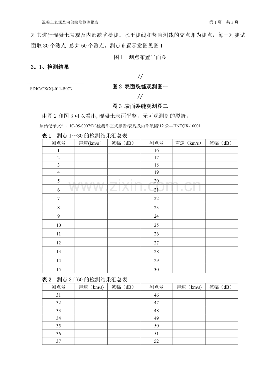 混凝土表观及内部缺陷检测报告模块.doc_第2页