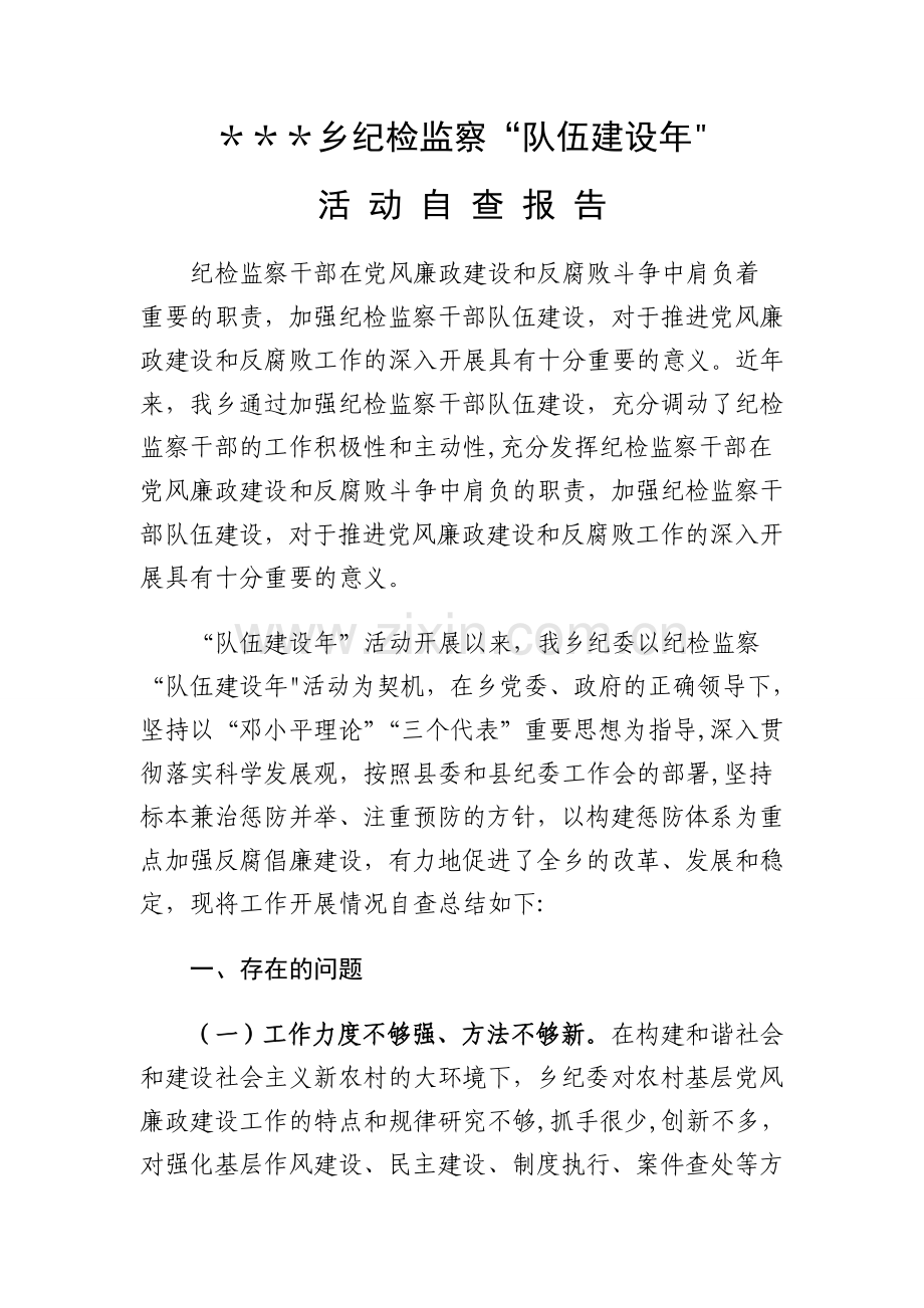 乡镇纪检监察队伍建设年单位自查报告doc.doc_第1页