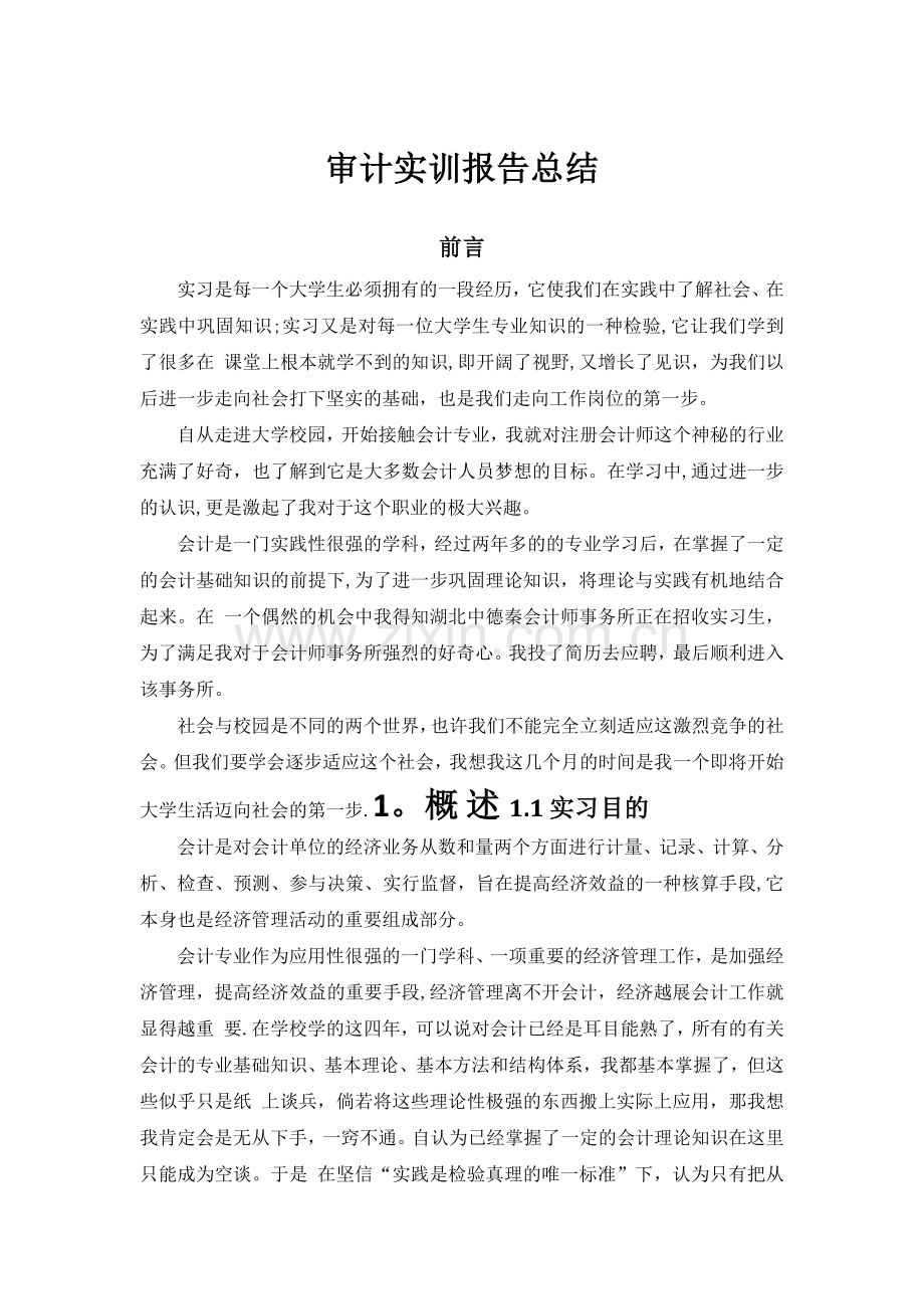 审计实训报告总结.doc_第1页