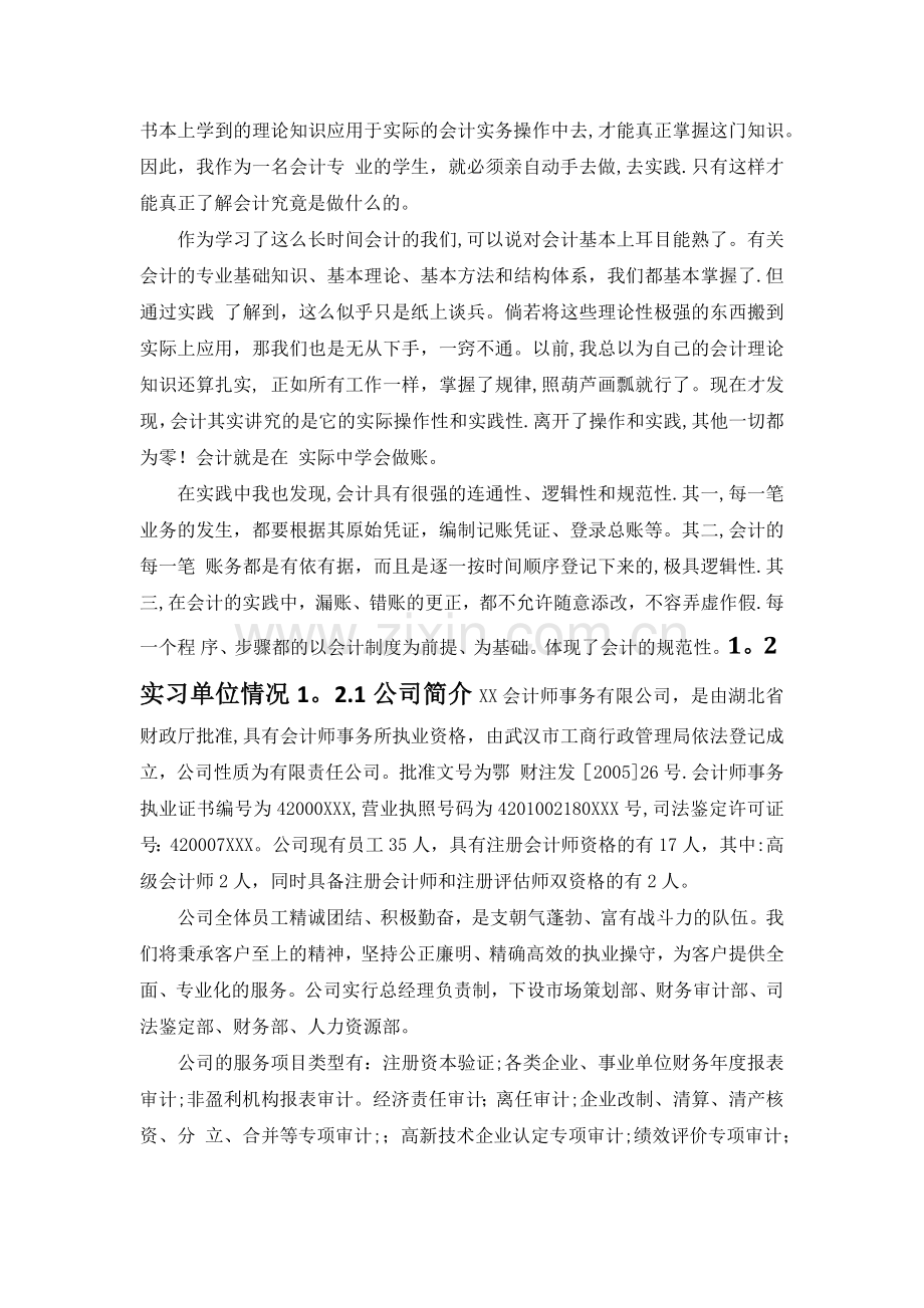 审计实训报告总结.doc_第2页