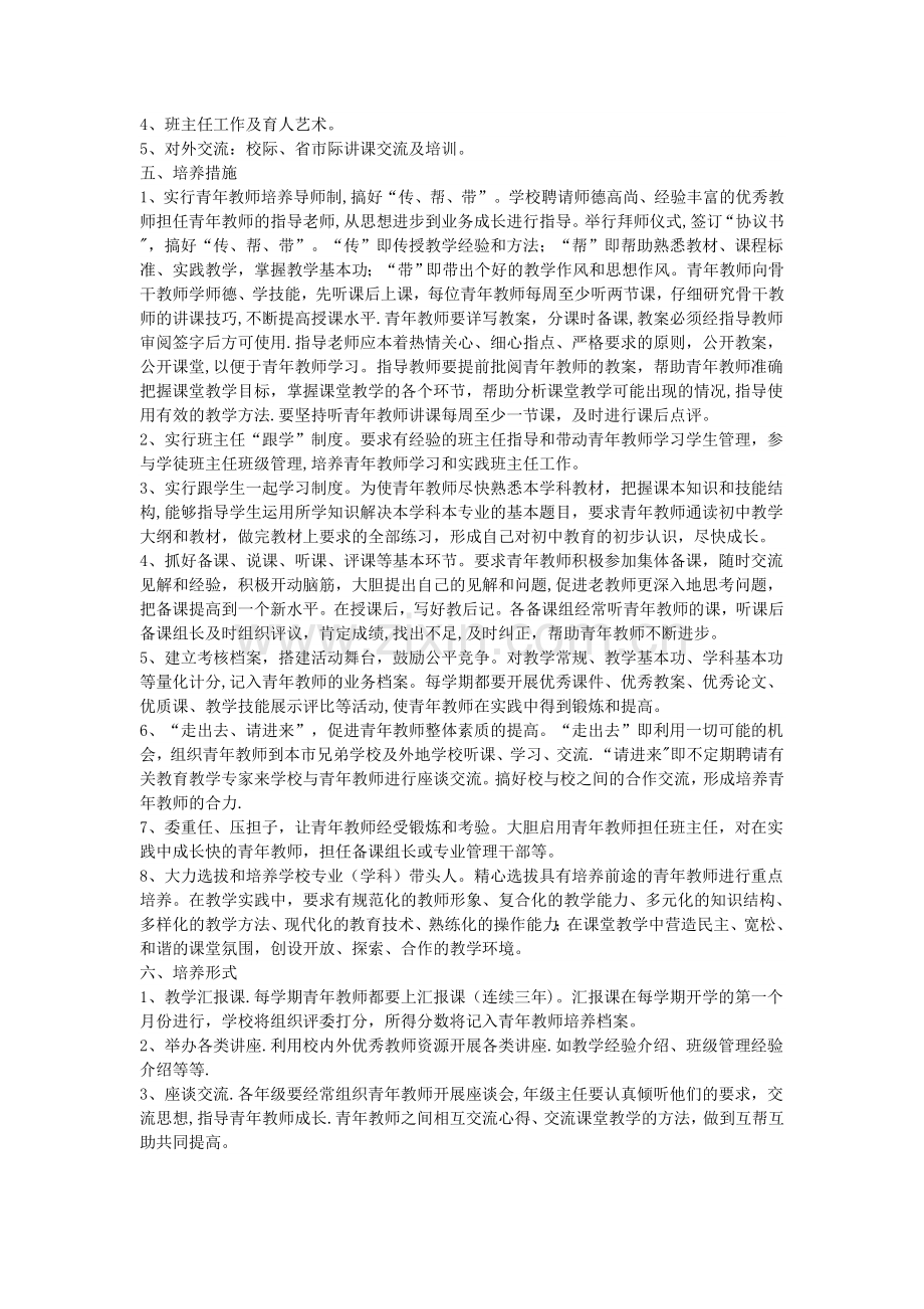 中青年骨干教师培养计划.docx_第3页