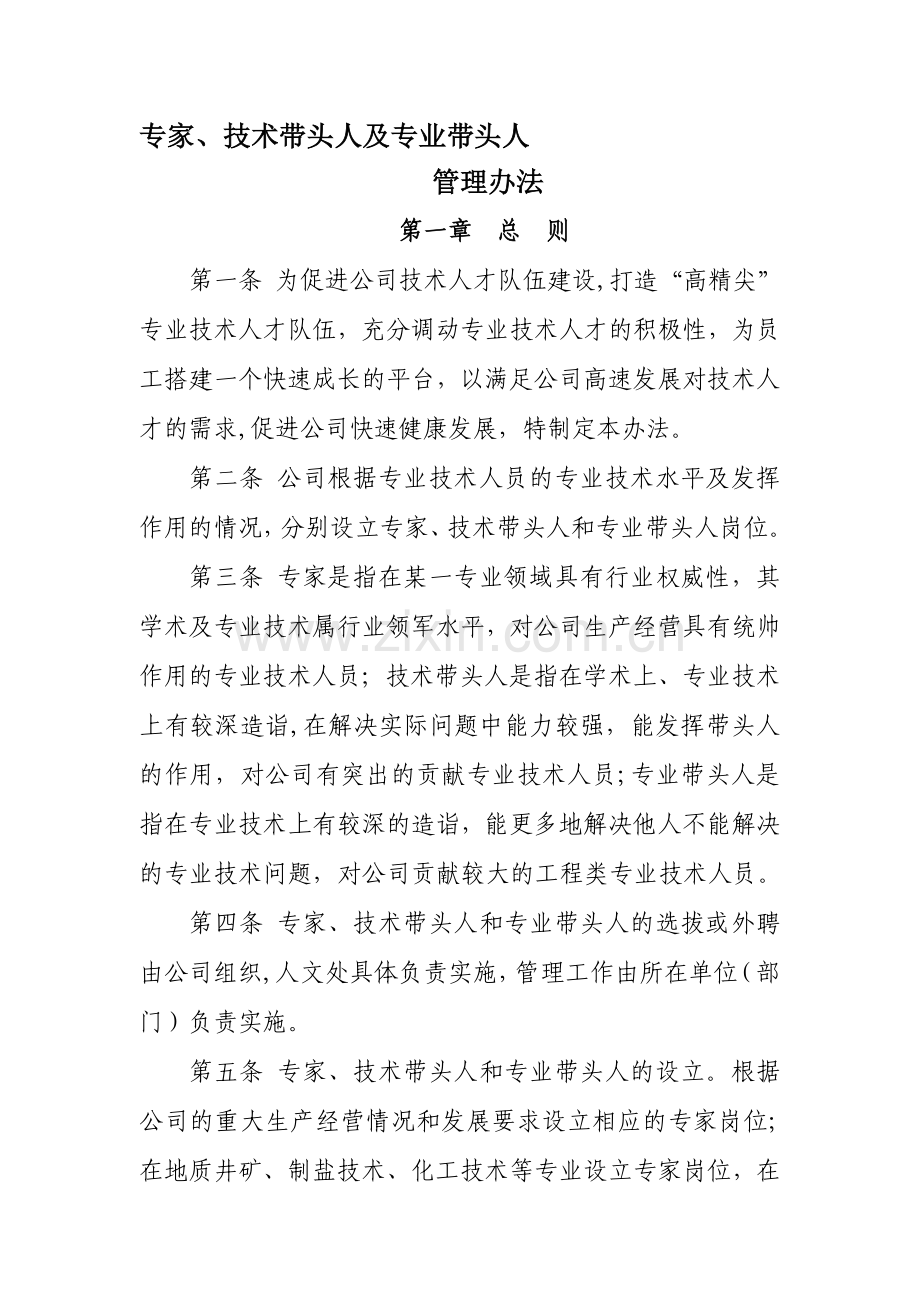 专家、技术带头人管理办法资料.doc_第1页