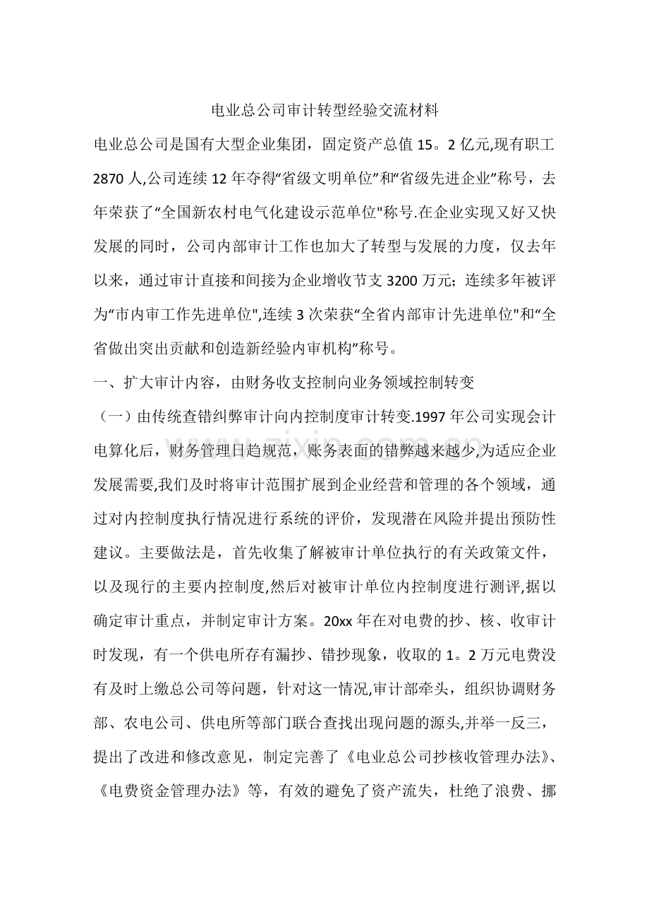 电业总公司审计转型经验交流材料.docx_第1页