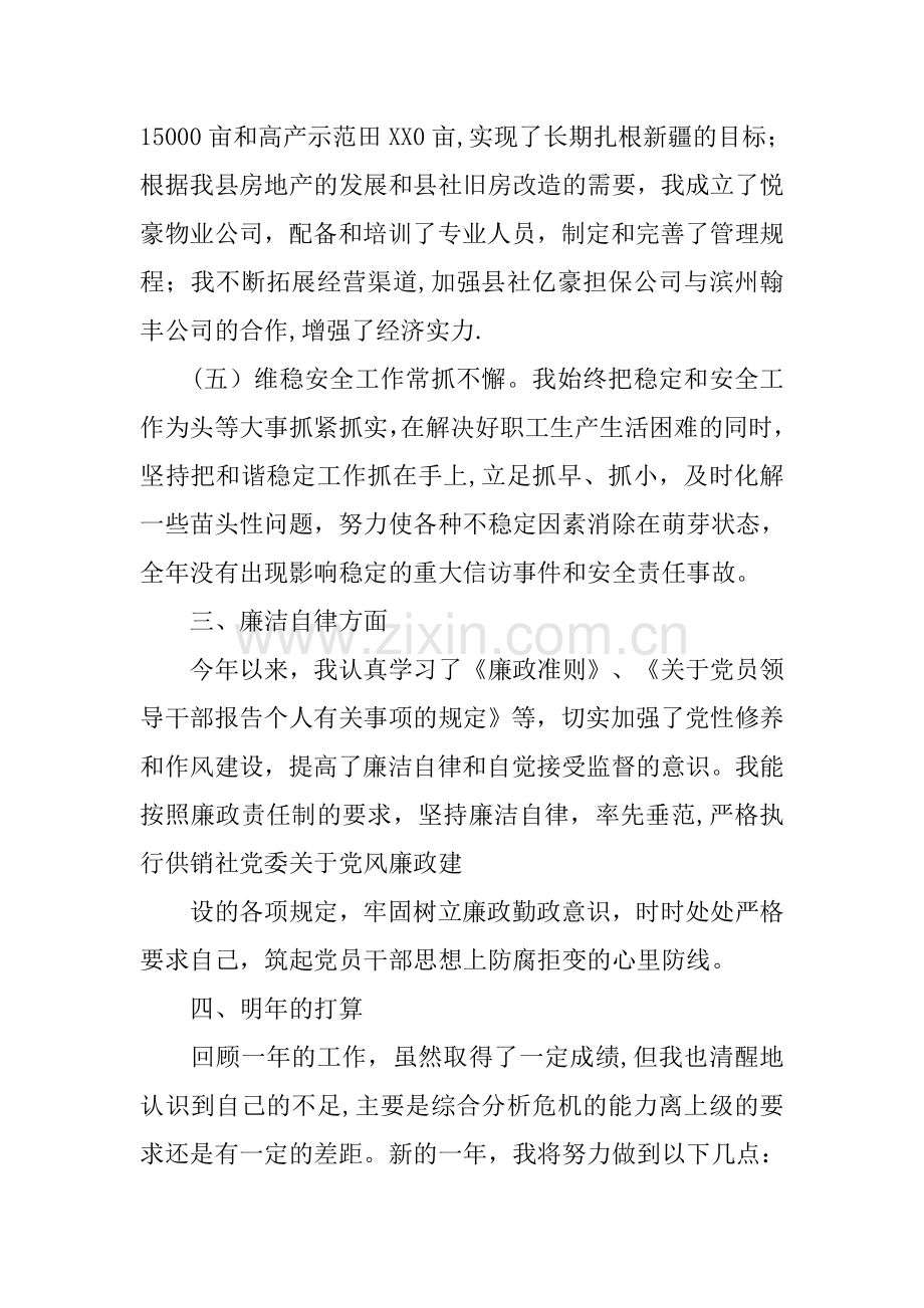 个人述职述廉报告XX.docx_第3页