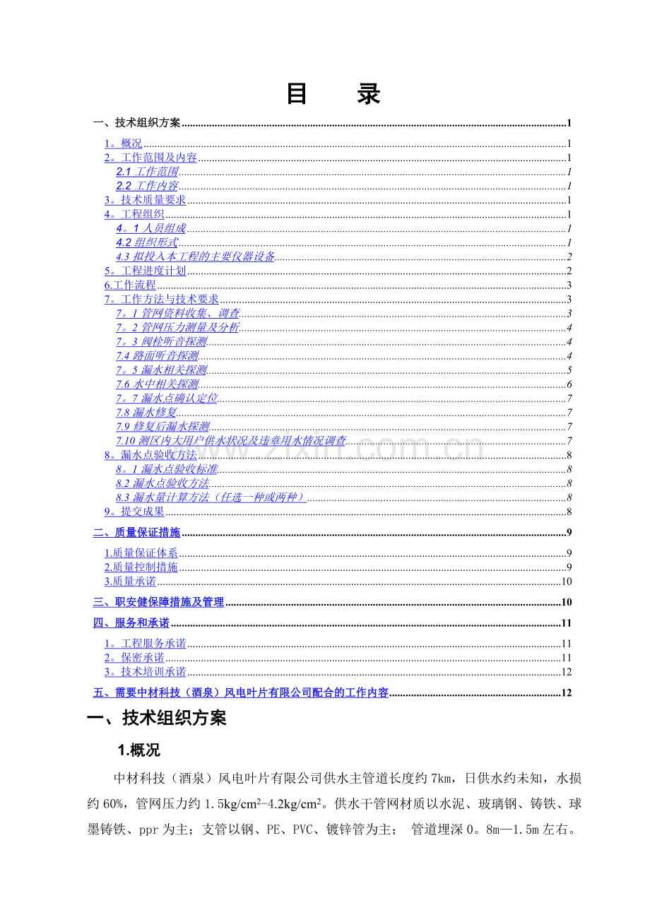 自来水管道漏水检测技术方案.doc_第2页