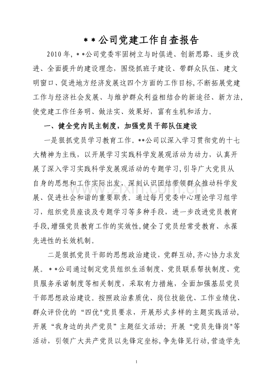 --公司党建工作自查报告.doc_第1页