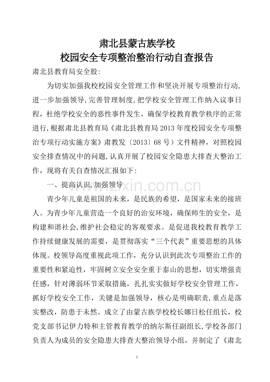 校园安全专项整治行动自查报告.doc_第1页