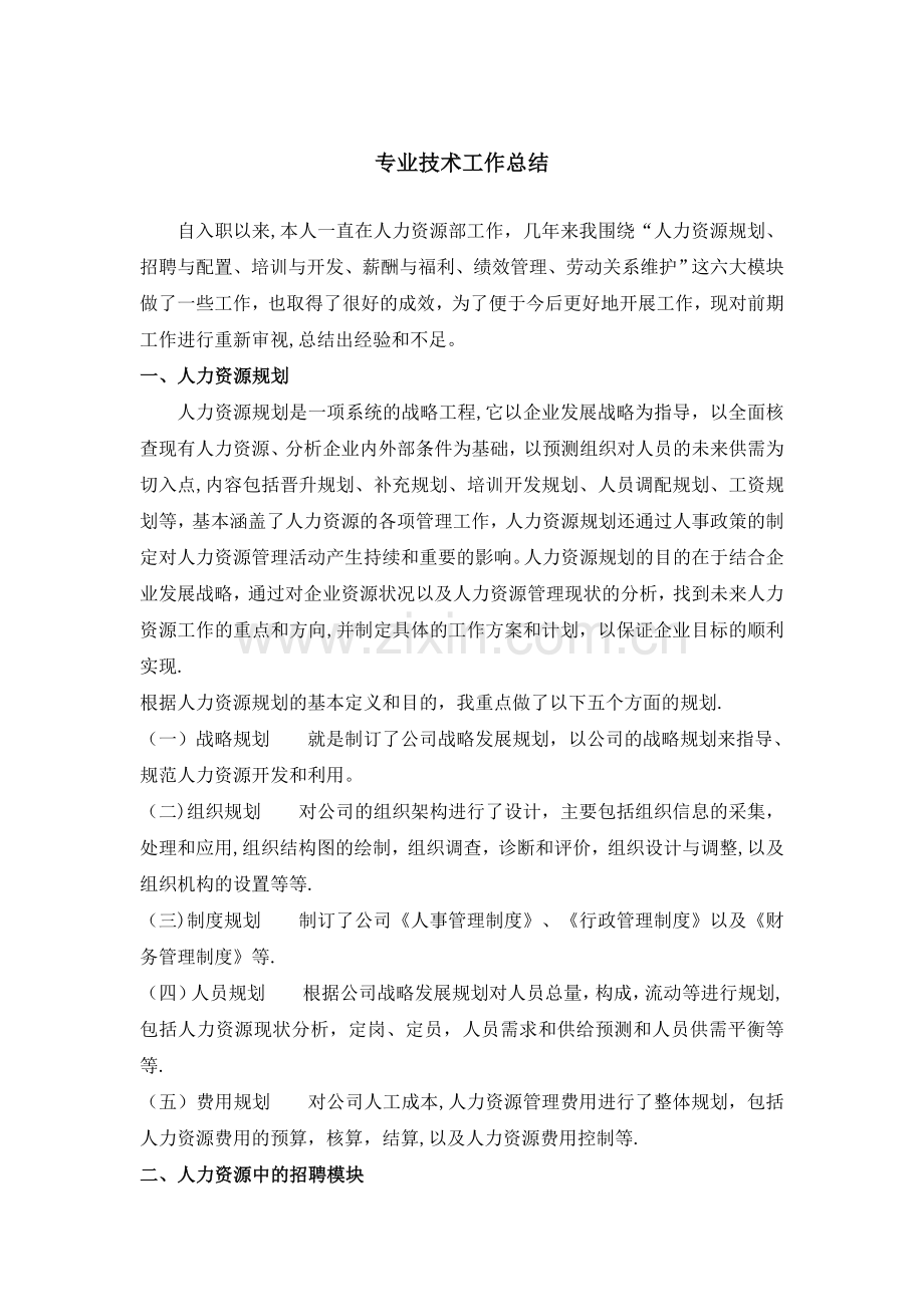 人力资源师专业技术工作总结.doc_第1页