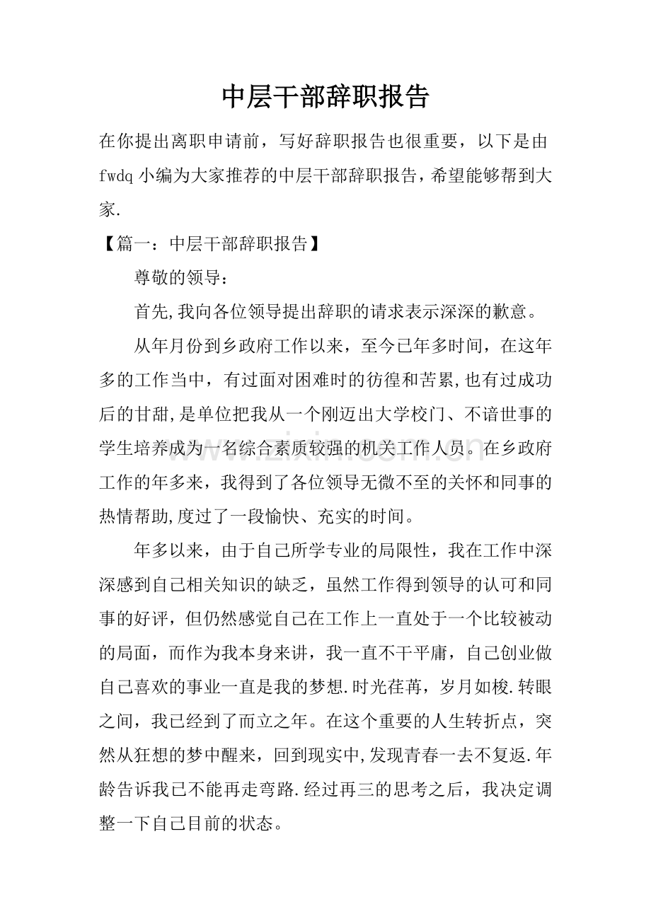 中层干部辞职报告.docx_第1页