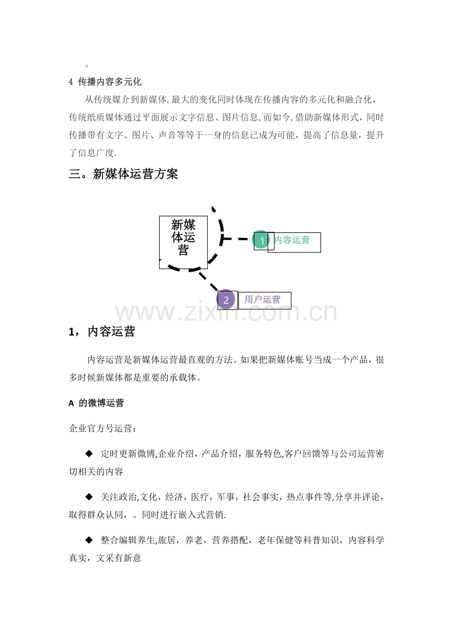 某新媒体运营方案.doc_第2页