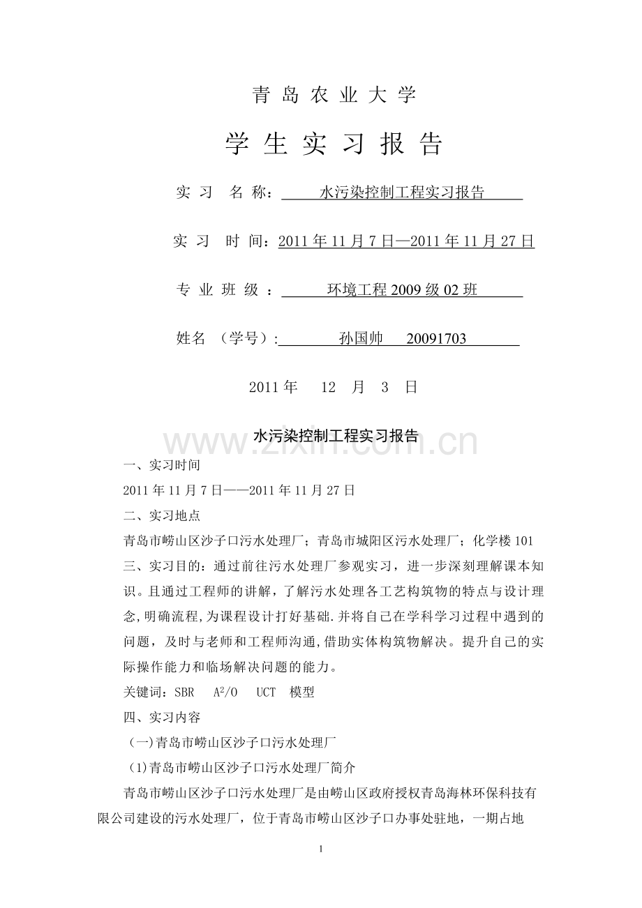 水污染控制工程实习报告.doc_第1页