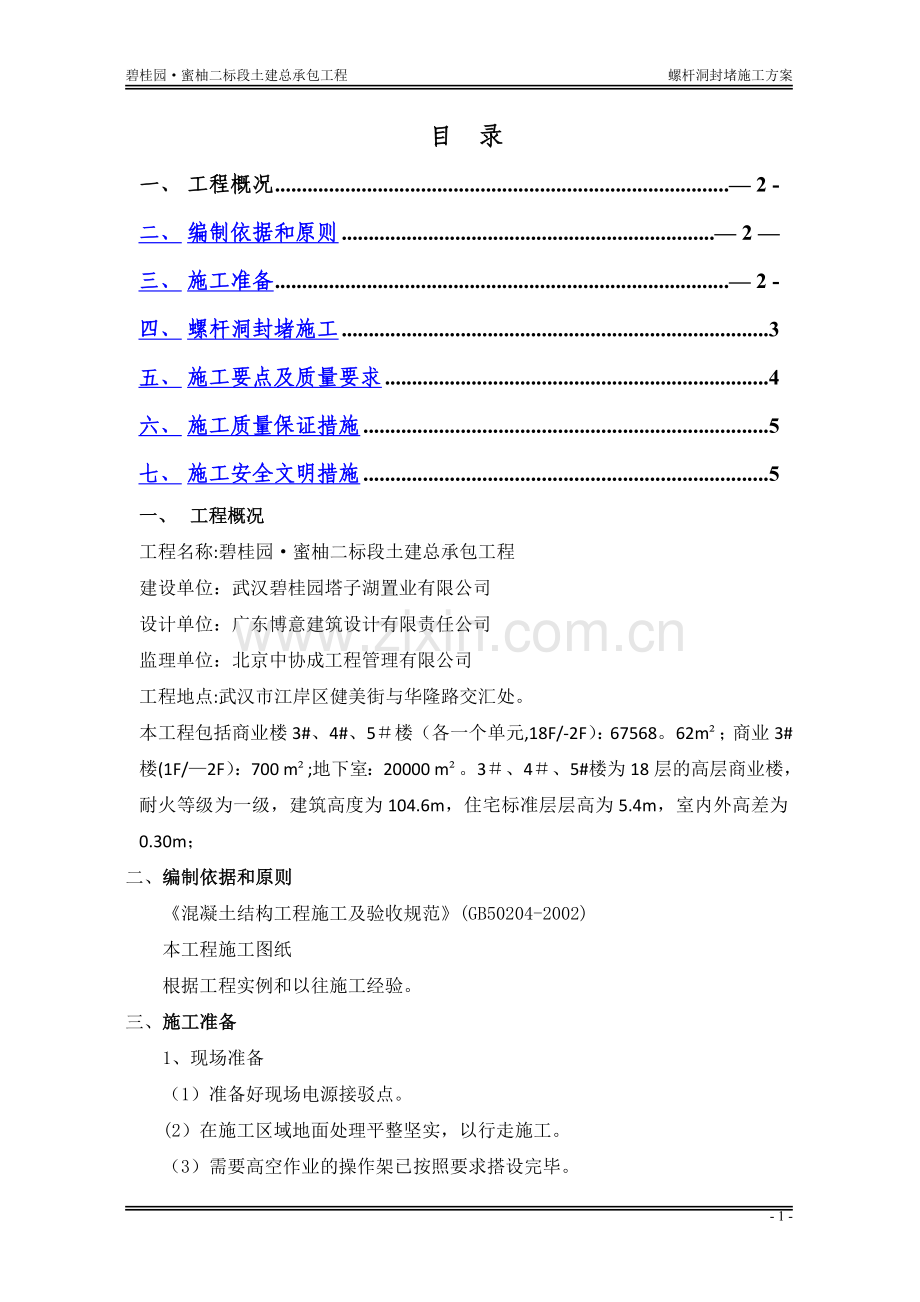 螺杆洞封堵方案方案.doc_第1页