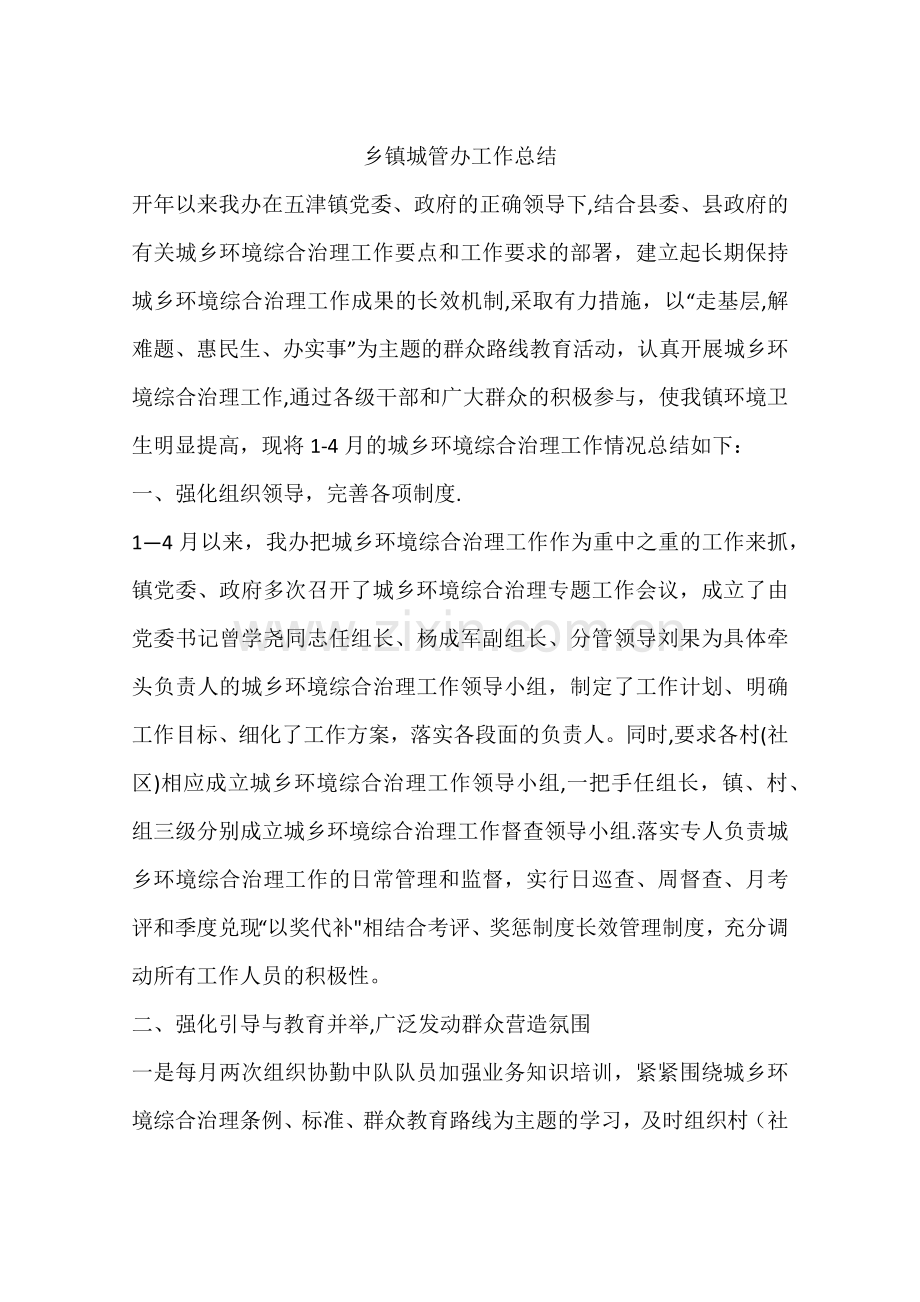 乡镇城管办工作总结.docx_第1页