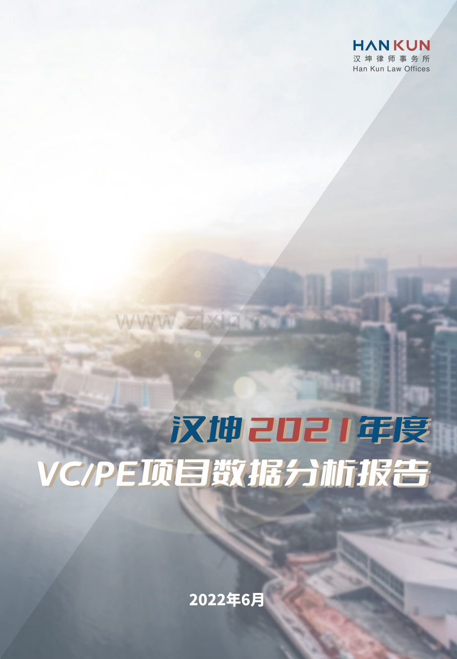 2021年度VCPE项目数据分析报告.pdf_第1页