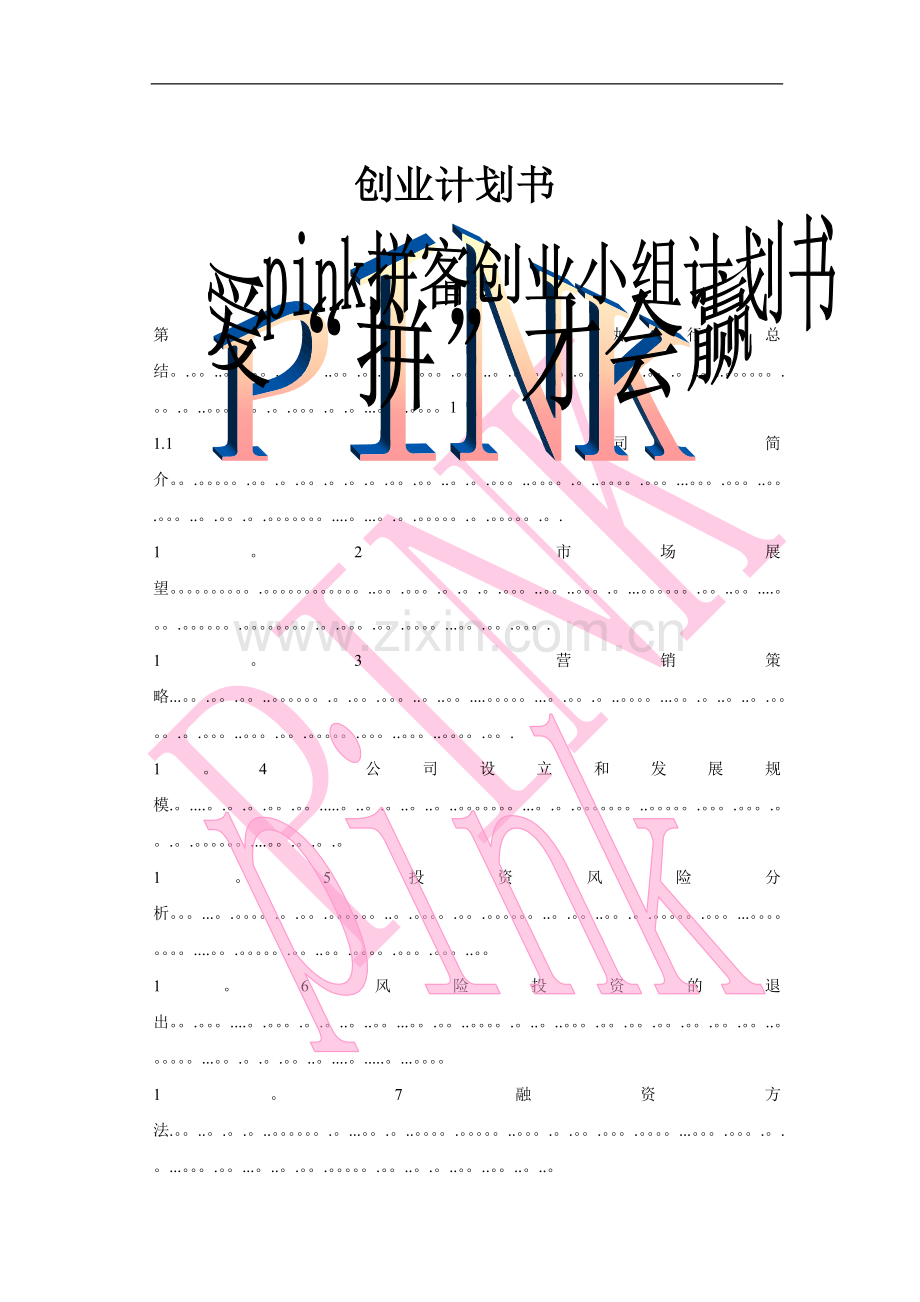 拼客公司计划书.doc_第1页